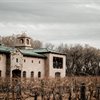 Emerging Wine Regions: Michigan &amp; Southwest USA