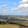Sangiovese on Edge