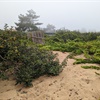Colares: Wines by the Waves