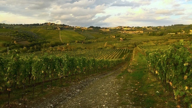 Chianti in Autumn