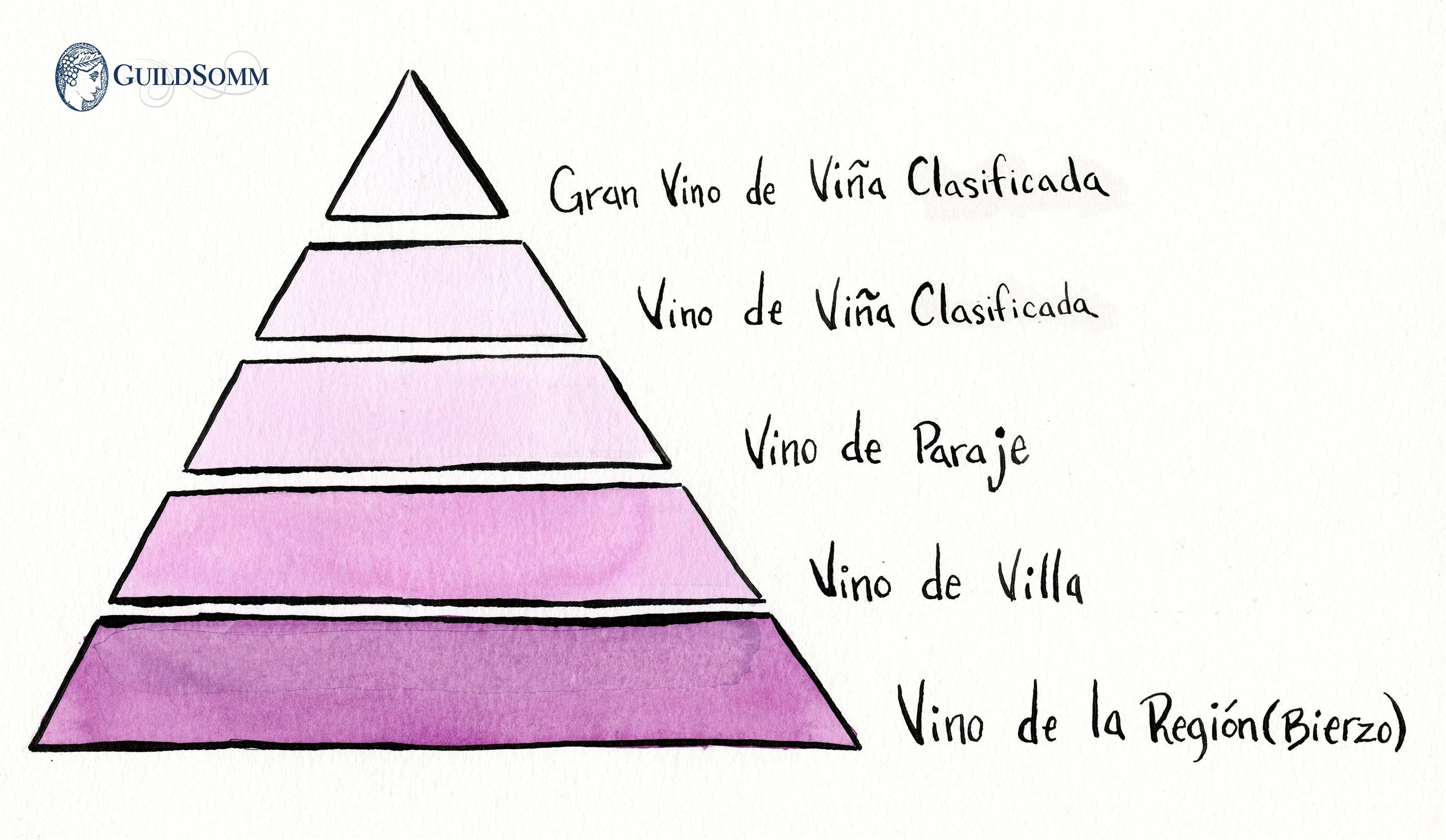 Bierzo&rsquo;s vineyard quality pyramid (Credit: Brandon Lee Wise)