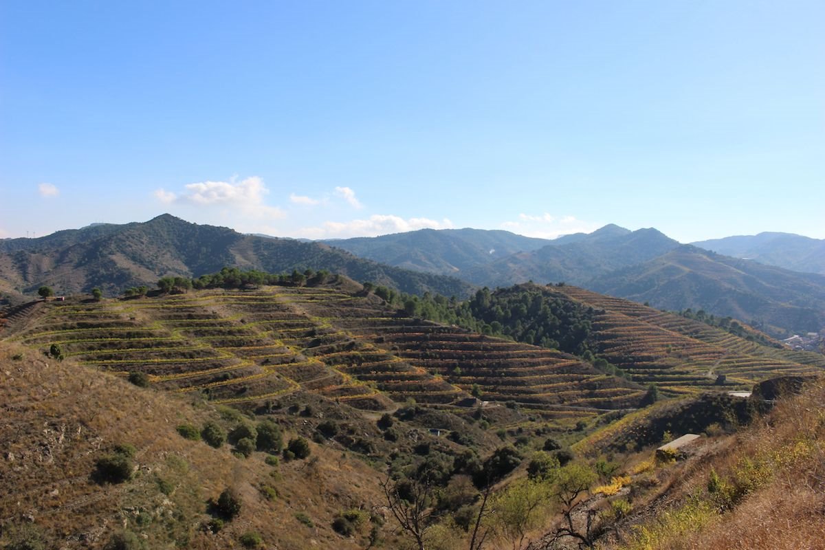 Priorat steep hillsides (Photo credit: Bryce Wiatrak)