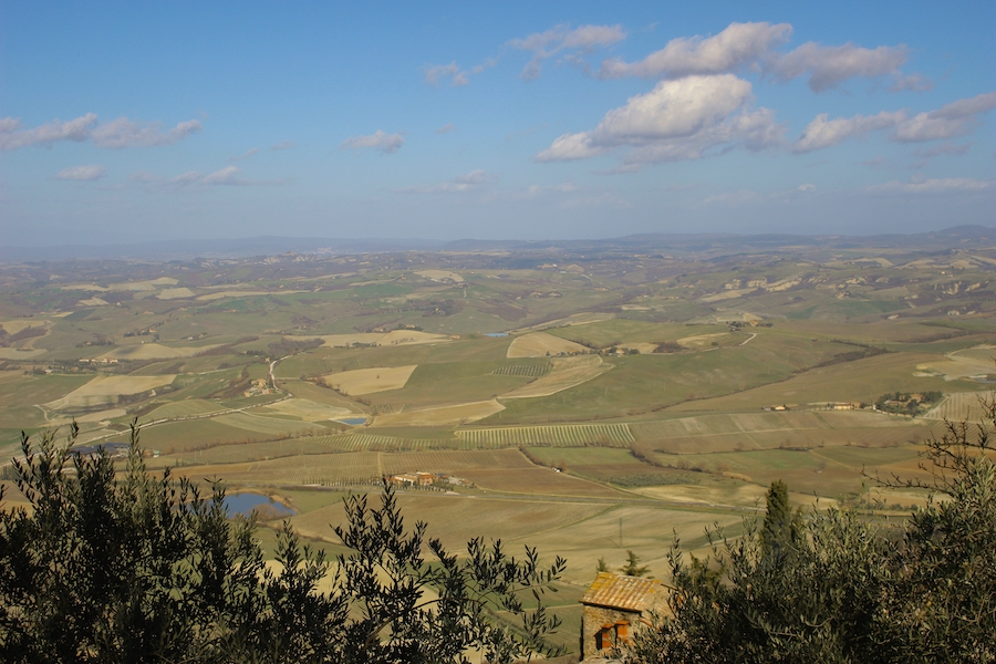 &ldquo;Montalcino&rdquo;
