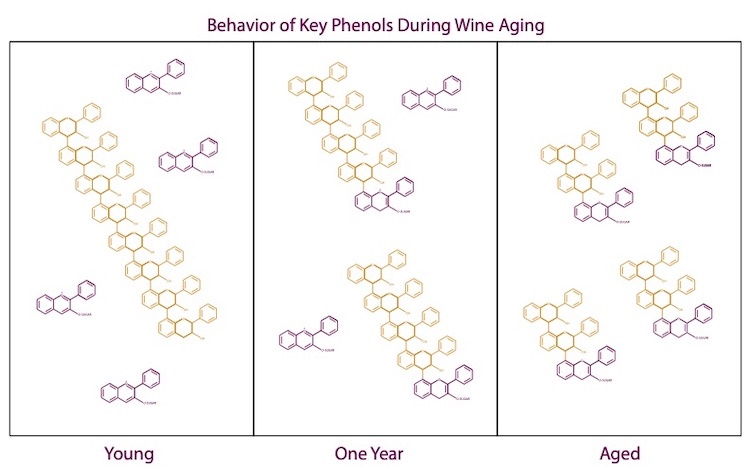 Aging Behavior