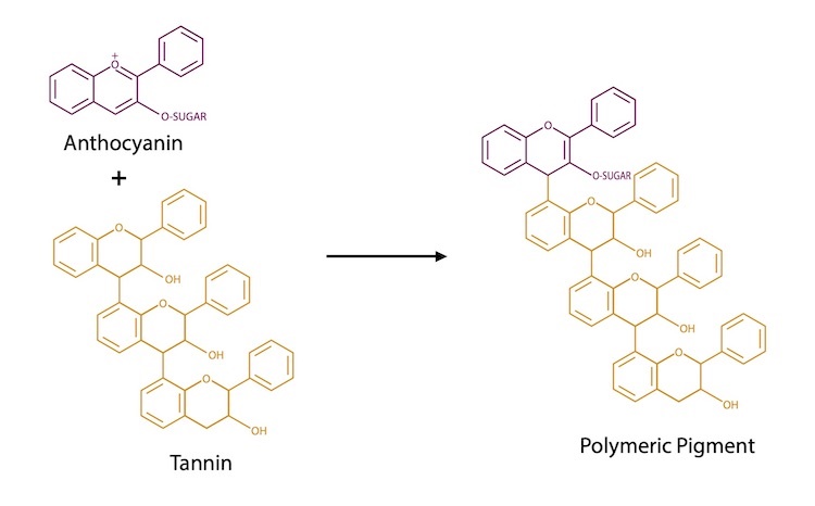 &ldquo;Polymeric