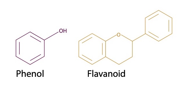 &ldquo;Phenol