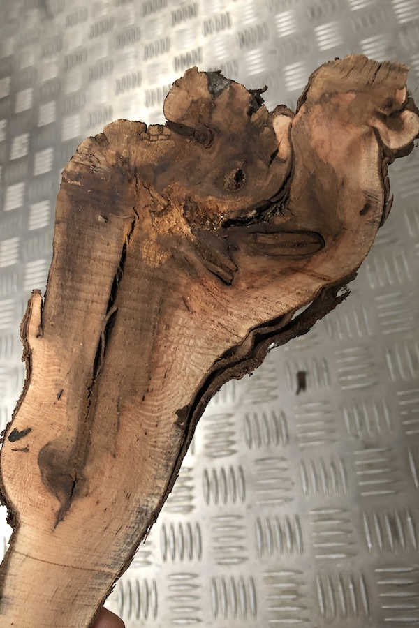Dead wood